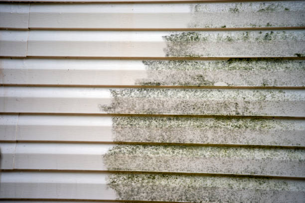 Best Residential Vinyl Siding Installation  in Hidden Hills, CA