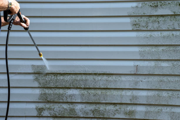 Best Siding for New Construction  in Hidden Hills, CA