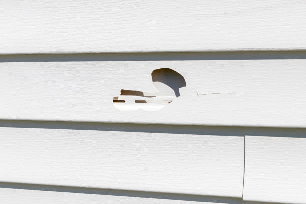 Best Engineered Wood Siding  in Hidden Hills, CA